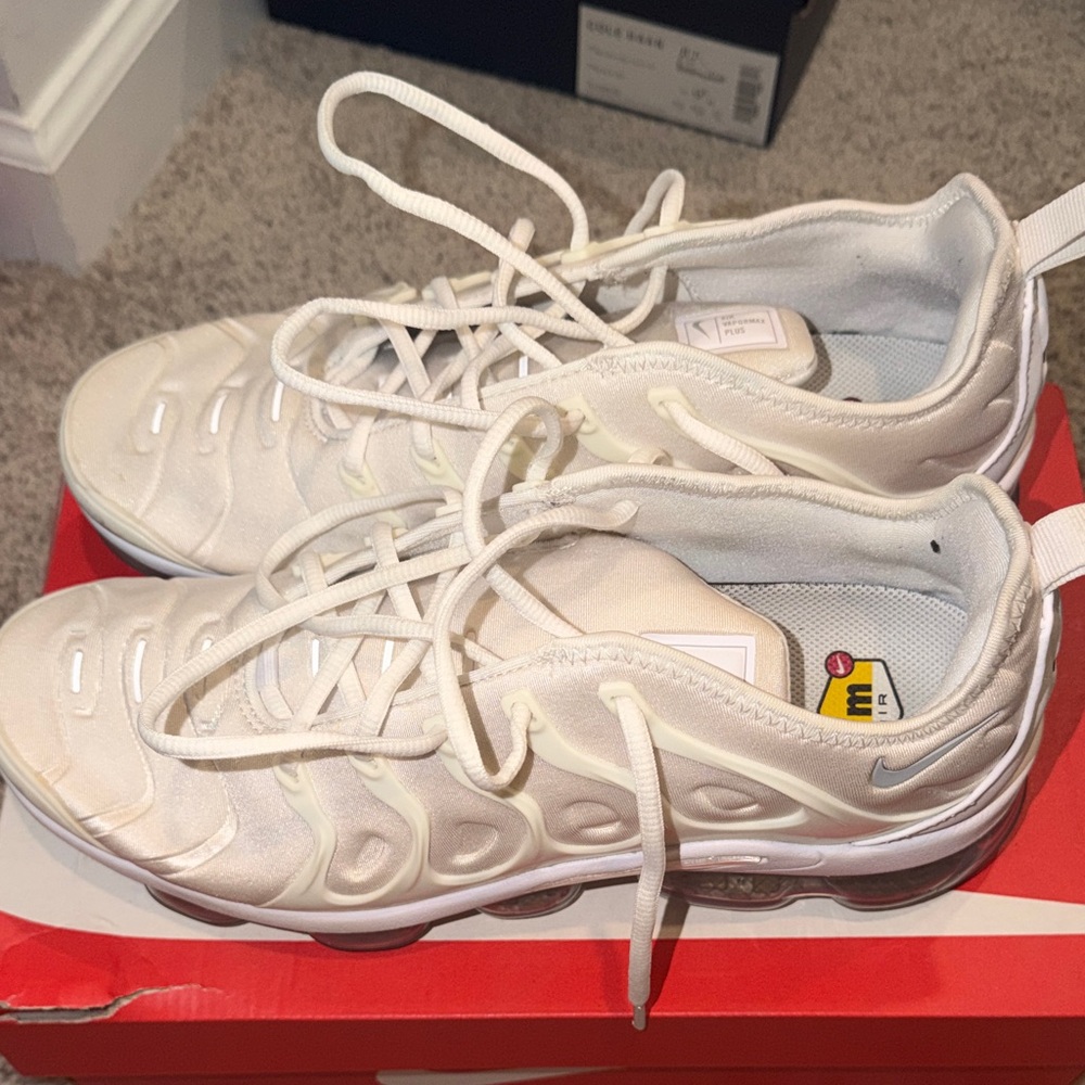 Nike Men’s VAPORMAX PLUS
